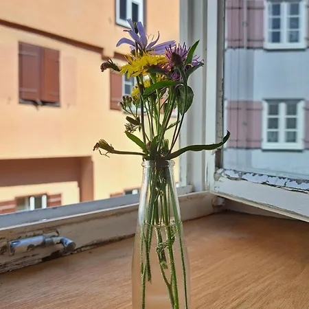 Dinkelsbühler Altstadthäuschen Apartamento