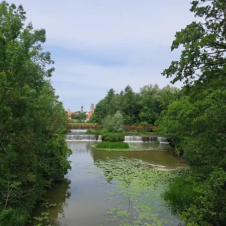 Dinkelsbuehler Altstadthaeuschen