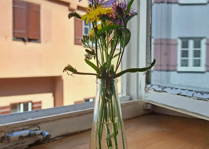 Dinkelsbuehler Altstadthaeuschen Appartement